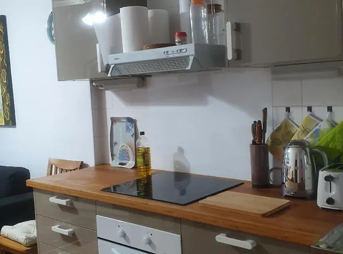 Appartement Modern, Cozy N:o 120